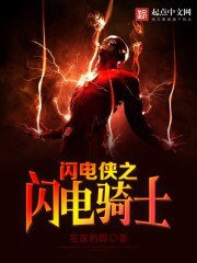 (闪电侠同人)闪电侠之闪电骑士