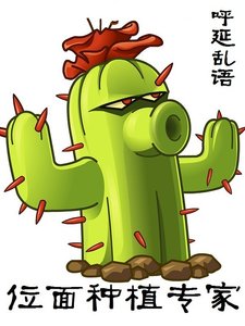 位面种植专家