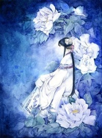 阴阳缔[展昭]